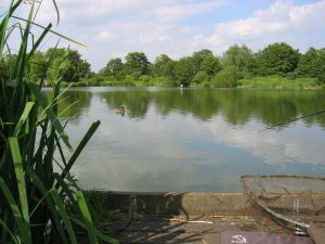 View of the Pleasure Lake